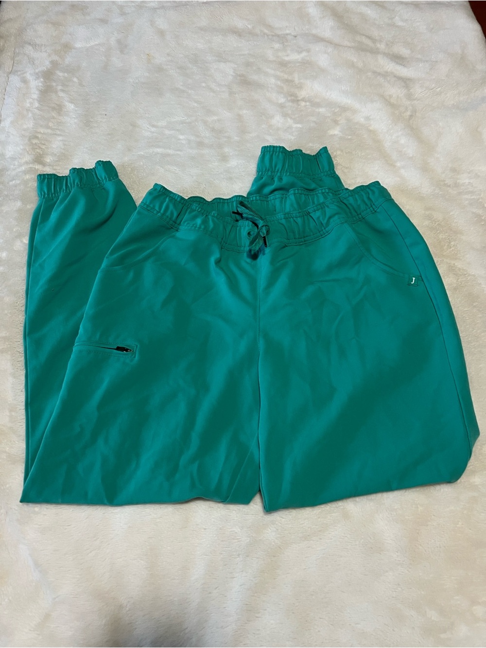 Jaanuu Teal Jogger Scrub Pants Medium